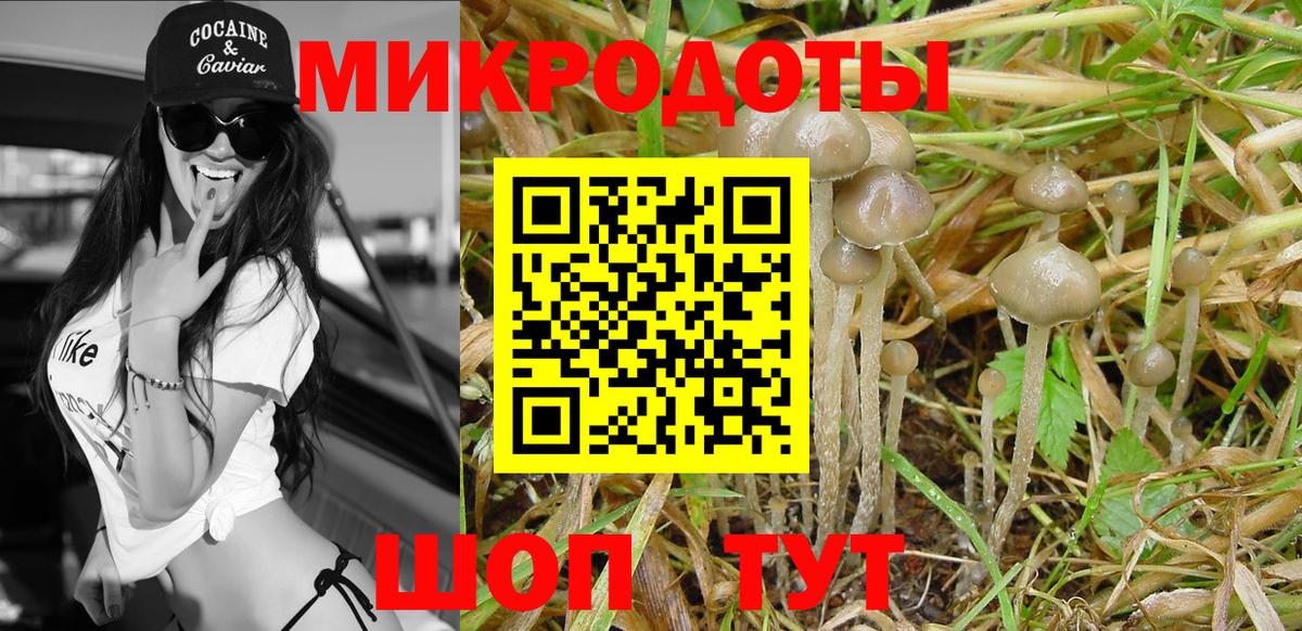 Галлюциногенные грибы мицелий Пятигорск
