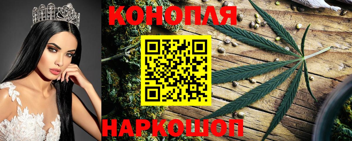 Бошки марихуана план  Марихуана марихуана  Конопля OG Kush  Вход с VPN  Пятигорск 